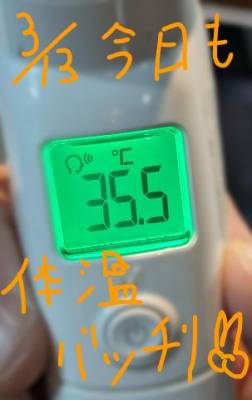 今日もよろしくです?