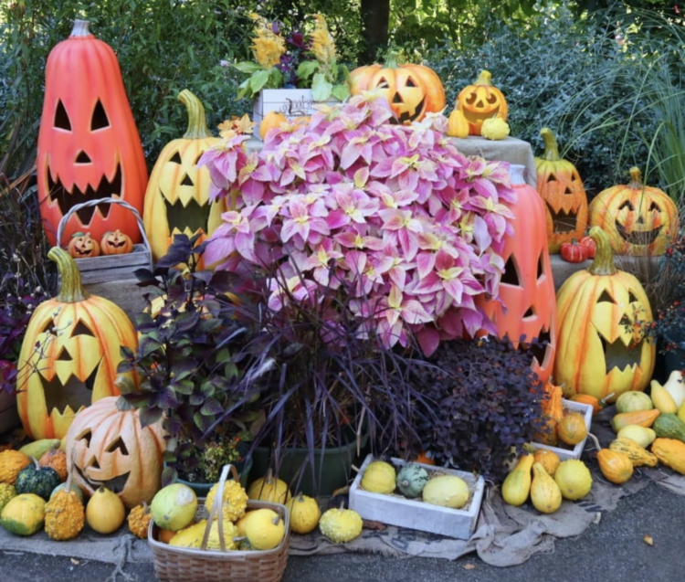 ハロウィンでしたいコスプレは？