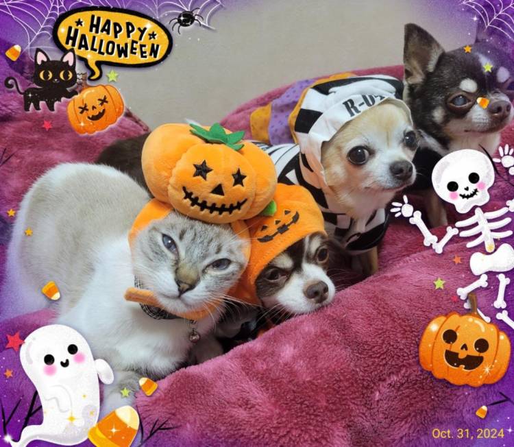 ☆HAPPY HALLOWEEN☆