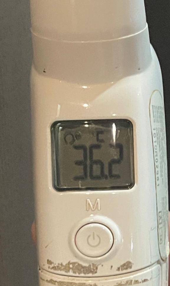 今日の体温...｡