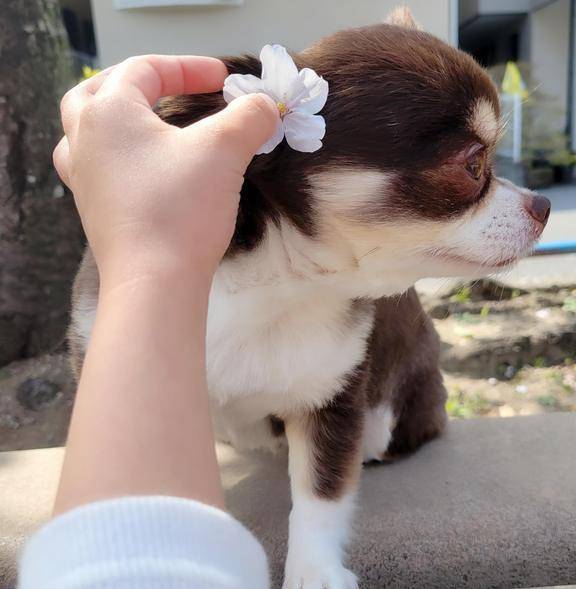 ☆今日のお題①☆