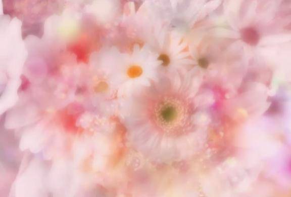 👱‍♀️🌺*.ﾟ