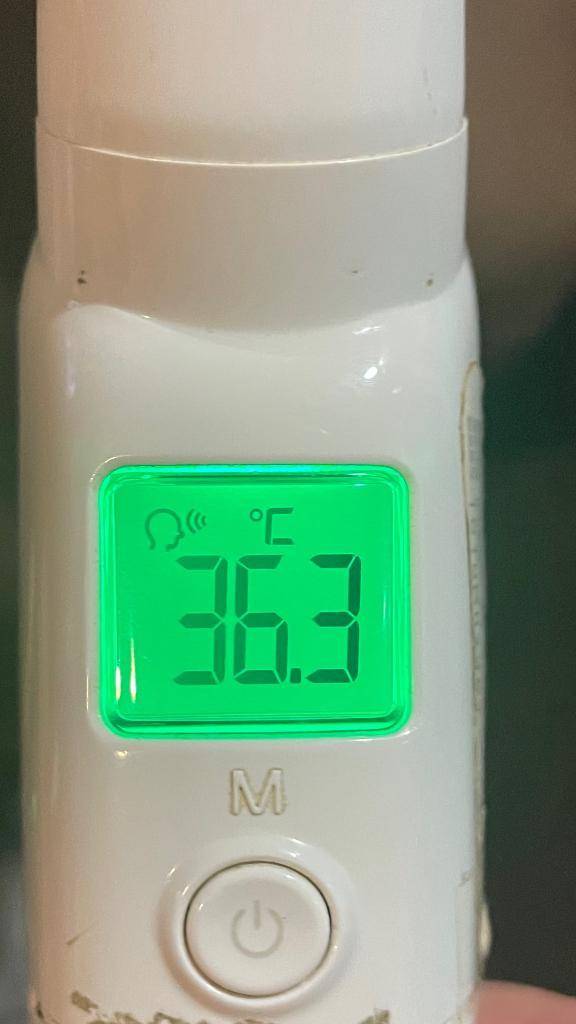 今日の体温...｡