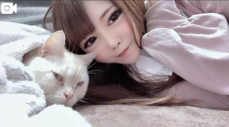 愛娘🐈のための夏支度🍹