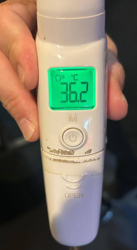 出勤しました🐰