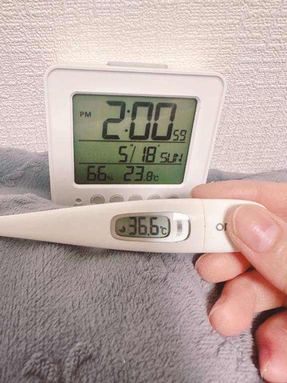 今日の体温❣️