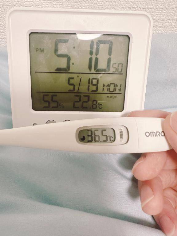今日の体温❣️