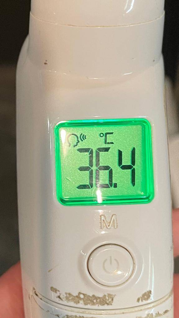 今日の体温...｡