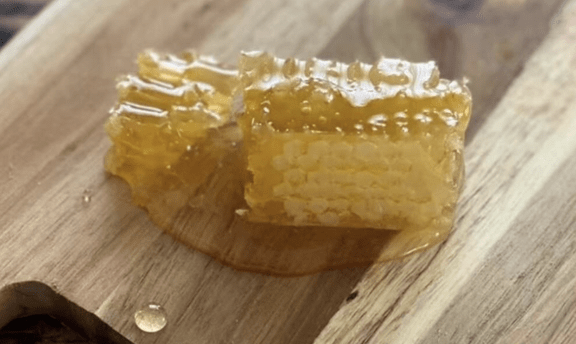 千景【爆乳美女が降臨!!】