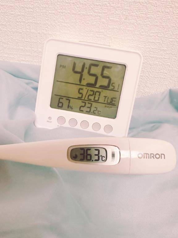 今日の体温❣️