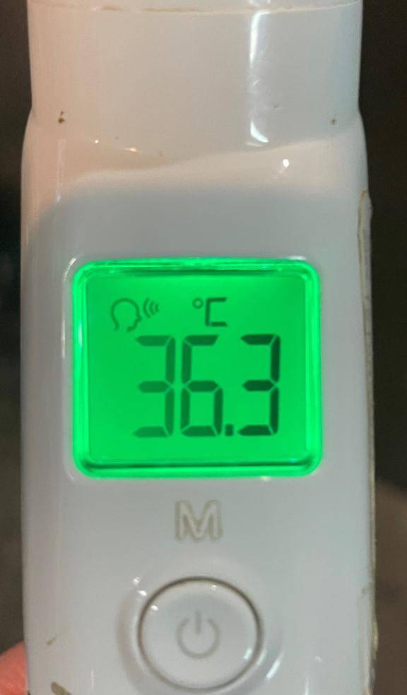 今日の体温...｡