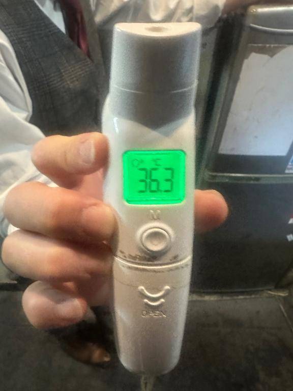 出勤しました🦔𓂃 ⸒⸒ ⸒⸒