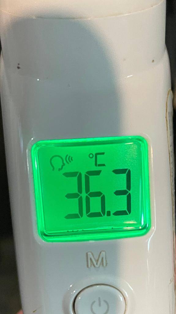 今日の体温...｡