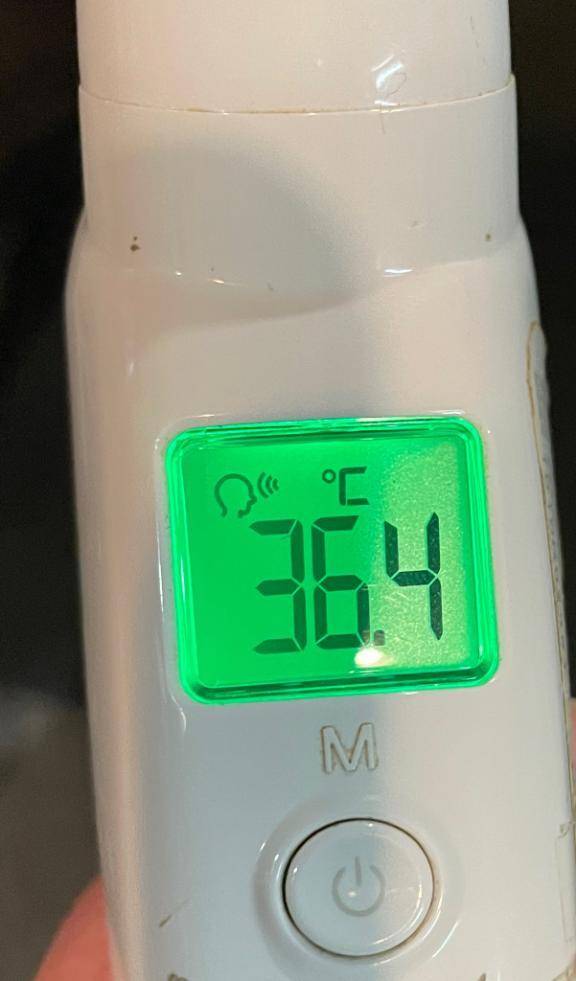 今日の体温...｡