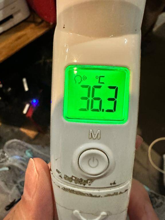 今日の体温❣️