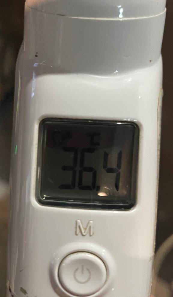 今日の体温...｡