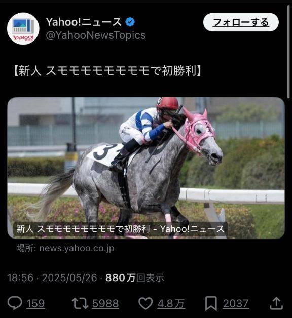 もももももももももももも