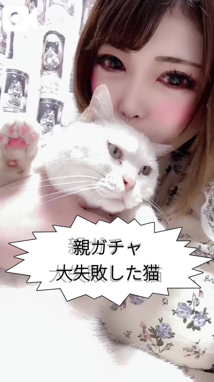 お題❤️好きな動物は何ですか??