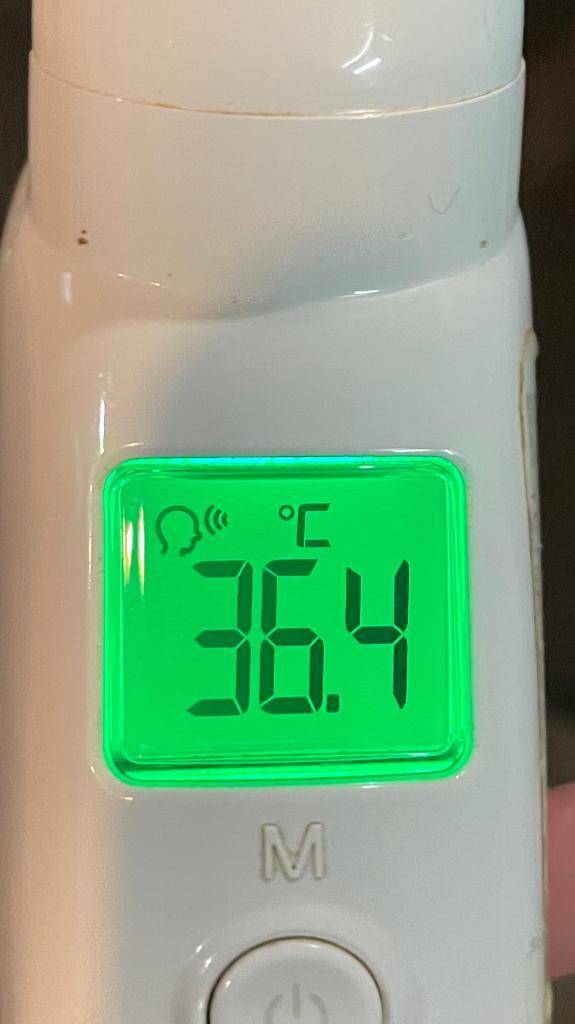 今日の体温...｡