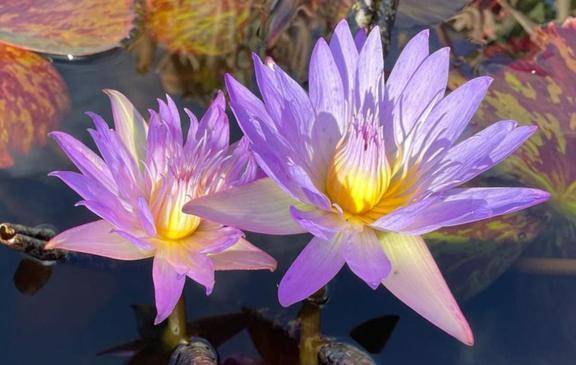 人と一緒にいるのが好き??一人が好き??