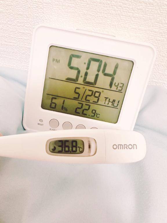 今日の体温❣️