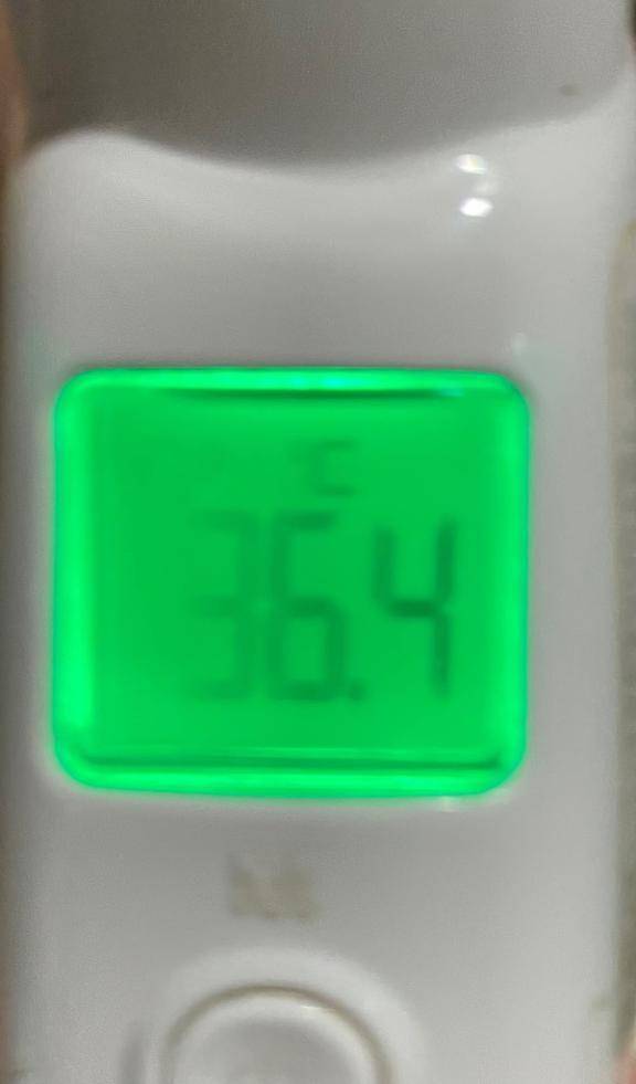 今日の体温...｡