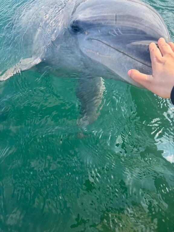 お礼♡14時からの仲良しさんへ