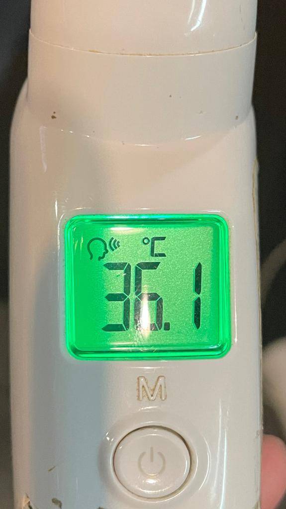 今日の体温...｡