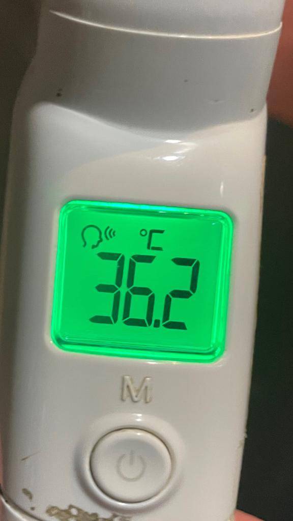 今日の体温...｡