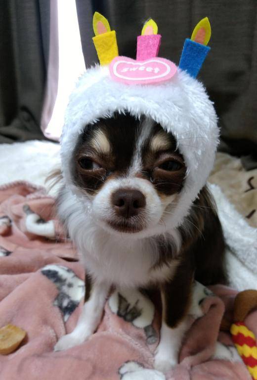 ☆今日のお題②☆