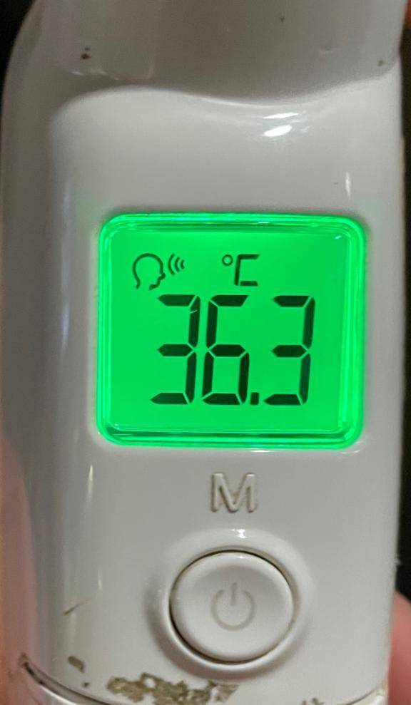 今日の体温...｡