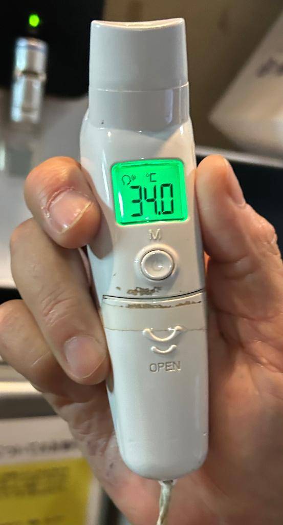 出勤しました🐰