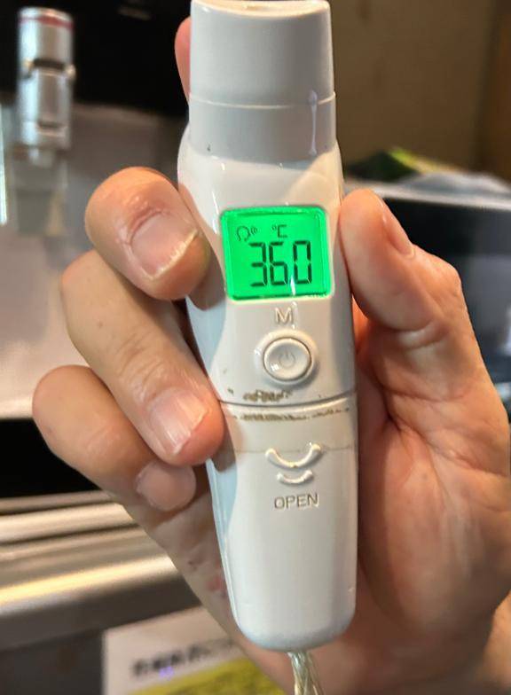 出勤しました🐰