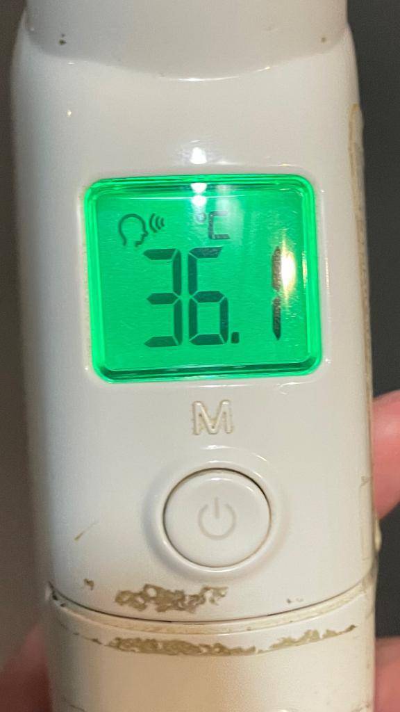 今日の体温...｡