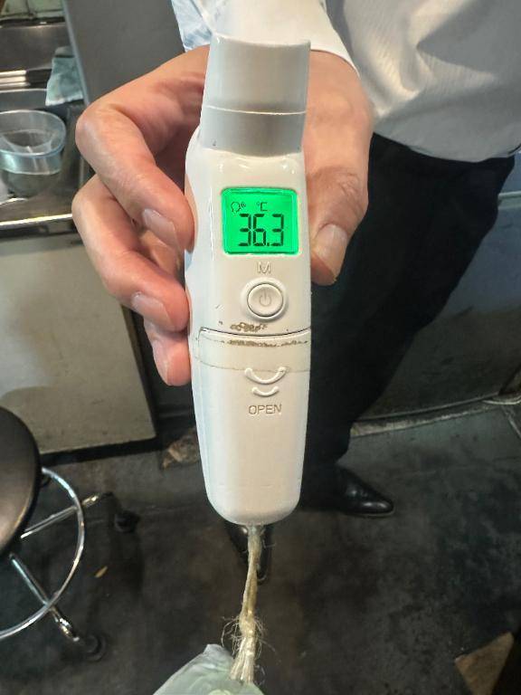 出勤しました🦔𓂃 ⸒⸒ ⸒⸒