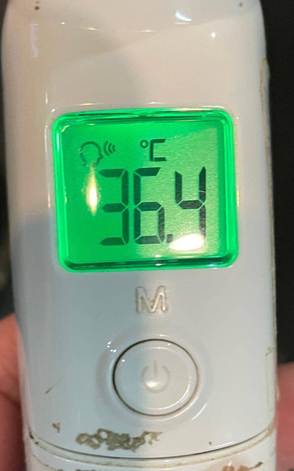 今日の体温...｡