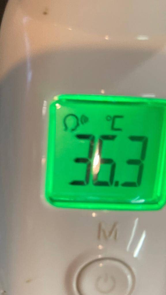 今日の体温...｡