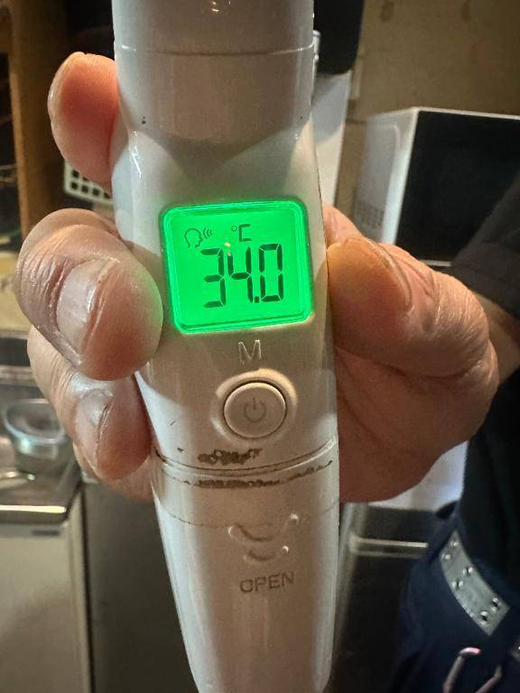 出勤しました🦔𓂃 ⸒⸒ ⸒⸒