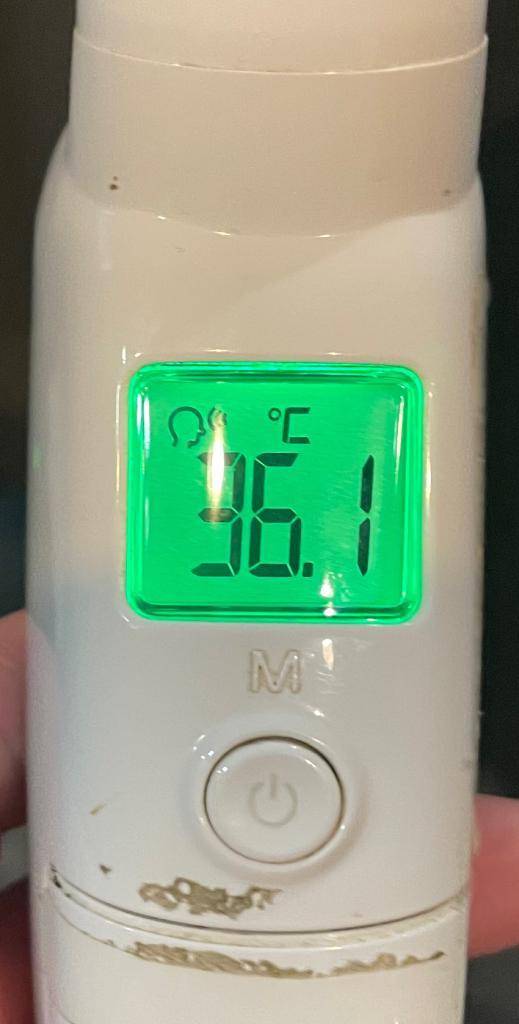 今日の体温...｡