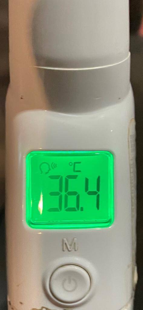 今日の体温...｡