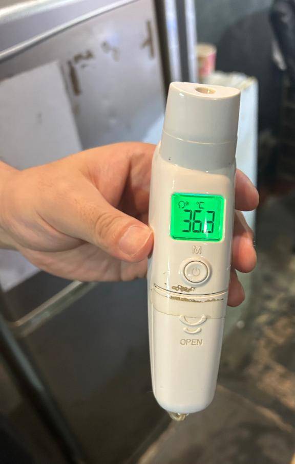 出勤しました🐰