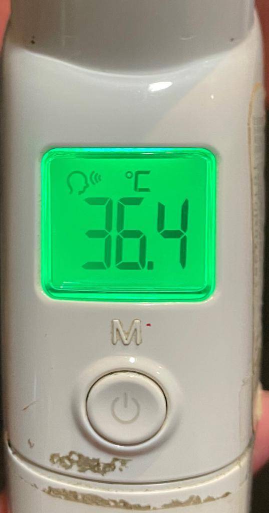 今日の体温...｡