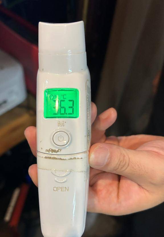 出勤しました🐰