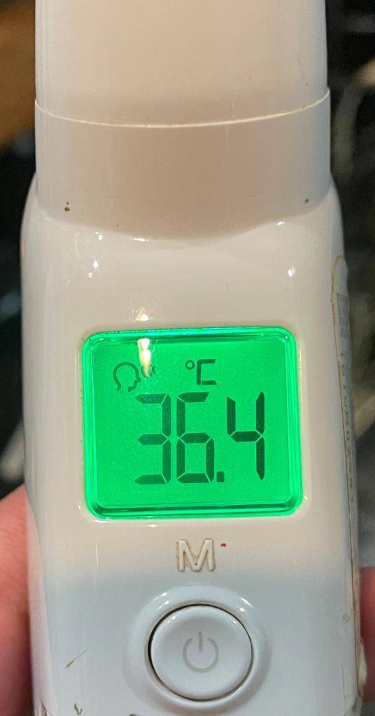 今日の体温...｡