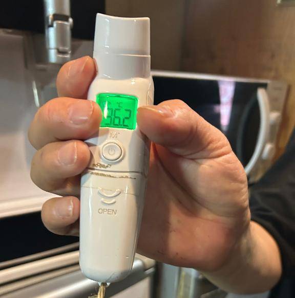 出勤しました🐰