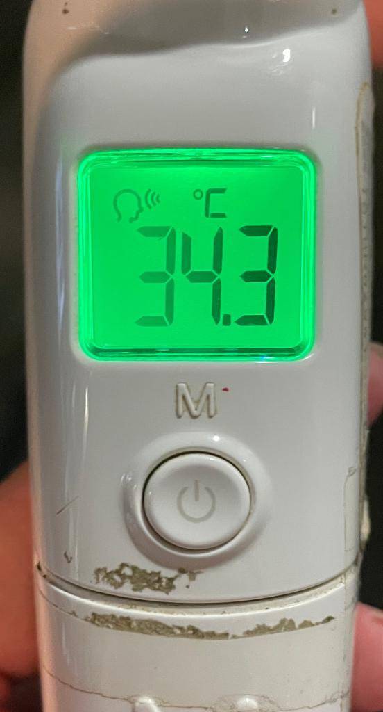 今日の体温...｡