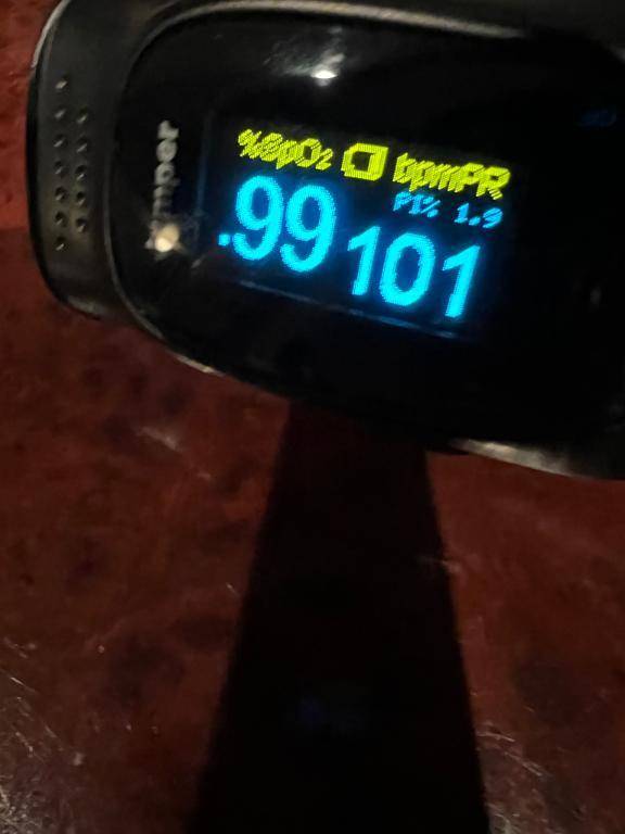 今日のパルスオキシメーター♡