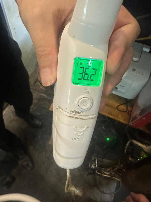 出勤しています(*^^*)