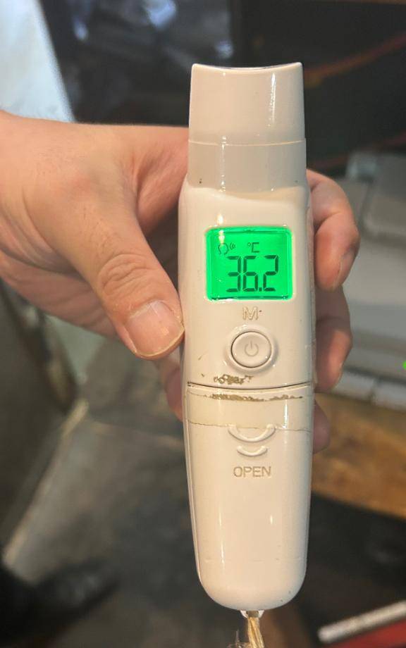 出勤しました🐰