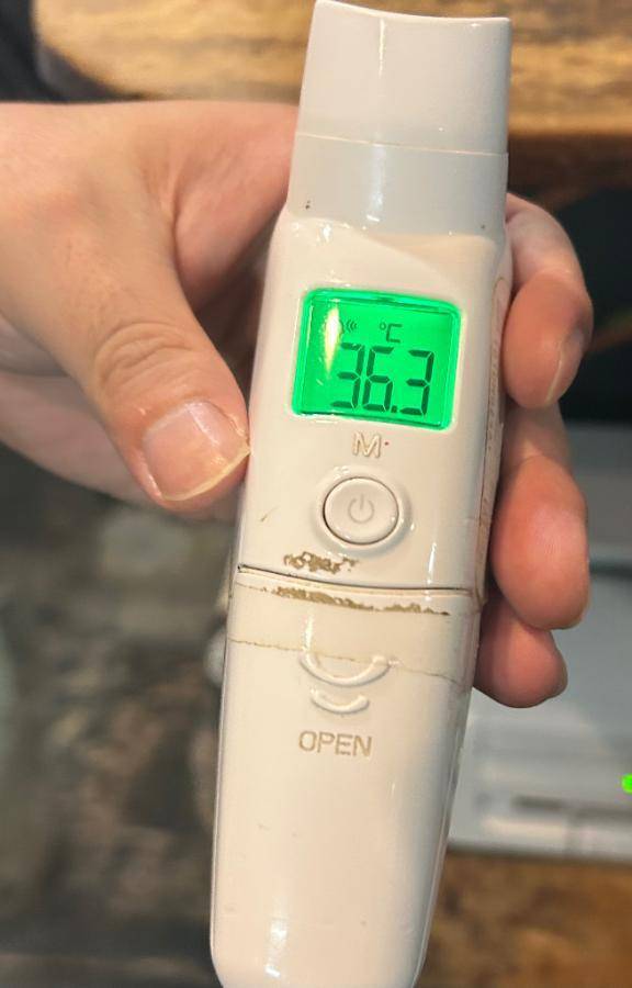 出勤しました🐰